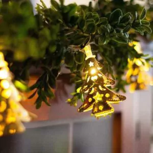 Гірлянди ялинки SvitloCenter