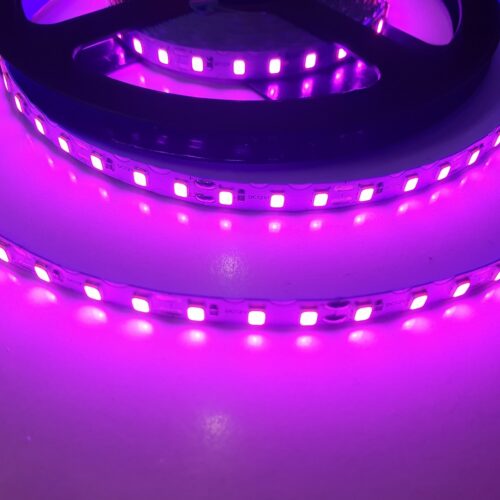 Світлодіодна LED стрічка PROLUM™ 12V IP20 2835/120 S-TYPE Series S, Рожевий