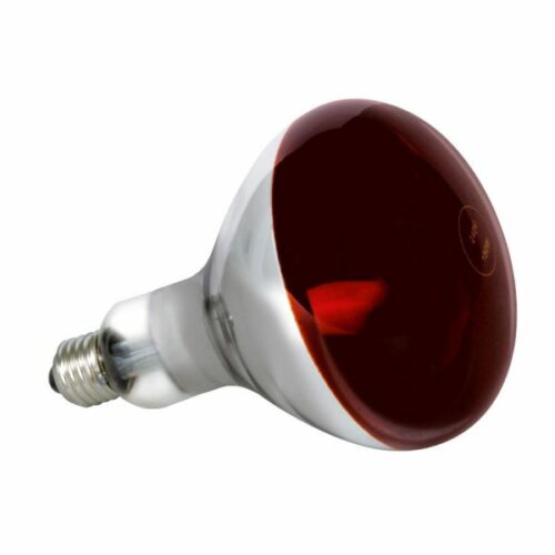 Лампа інфрачервона 250W E27 230V на половину червона / LM3828